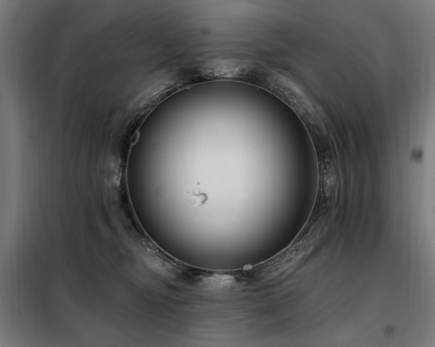 X0000098090374200804041225
