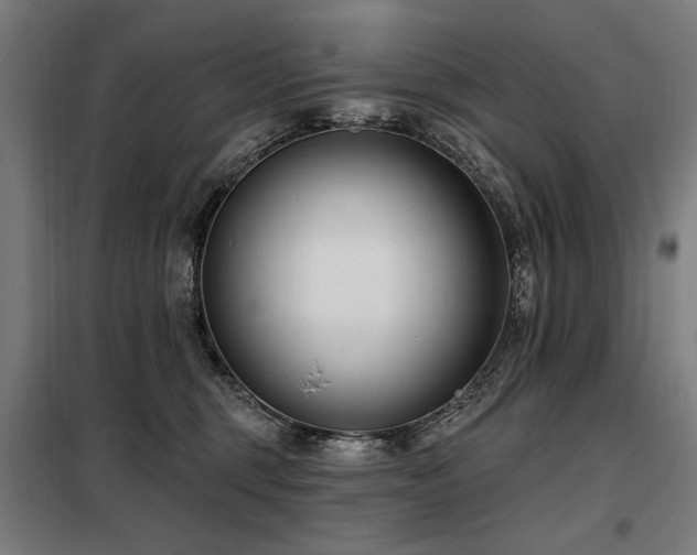 X0000098090375200804041225