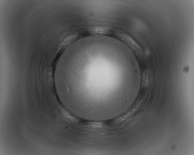 X0000098090377200804041225