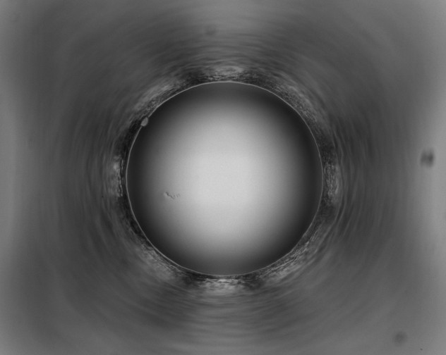 X0000098090378200804041225