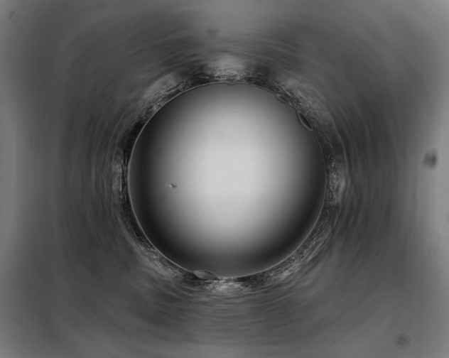 X0000098090379200804041225