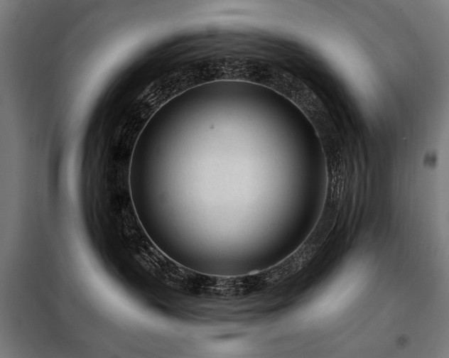 X0000098090383200804041225