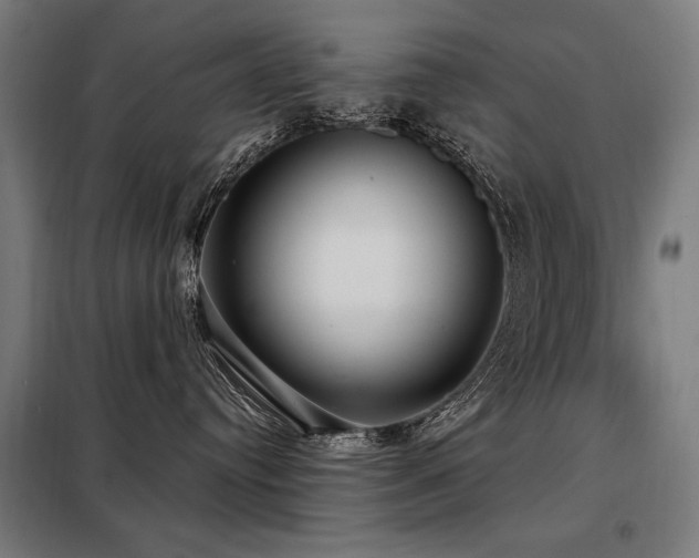 X0000098090384200804041225