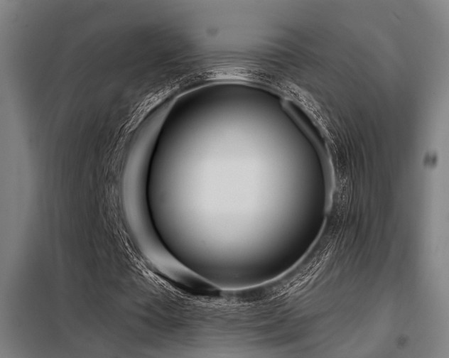 X0000098090385200804041225