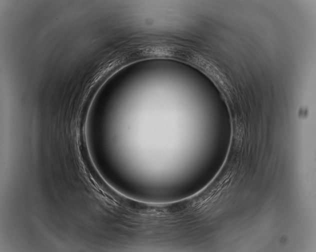 X0000098090386200804041224