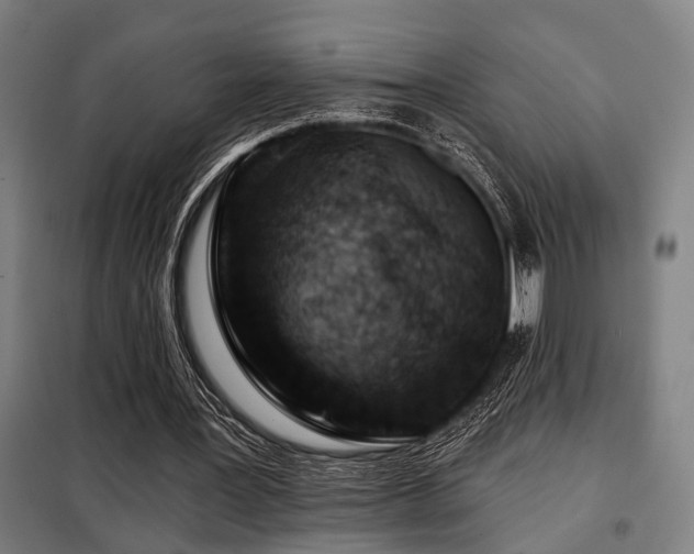 X0000098090387200804041224
