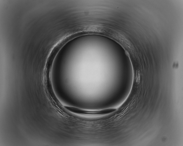 X0000098090388200804041224