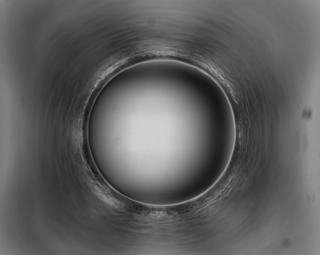 X0000098090390200804041224