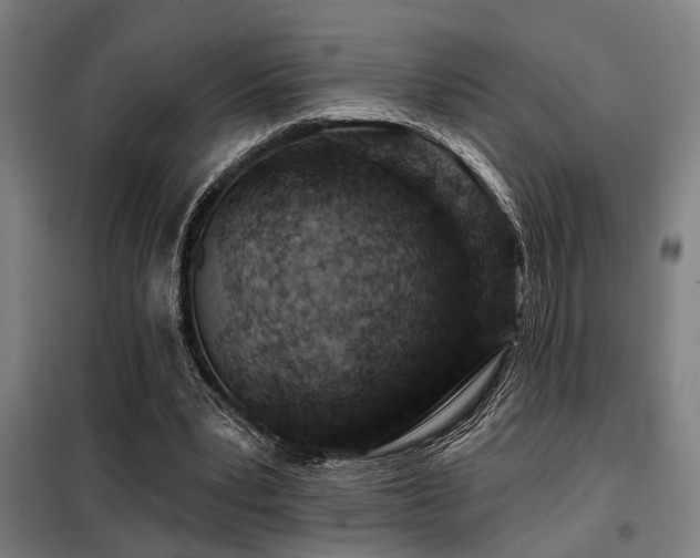 X0000098090391200804041224