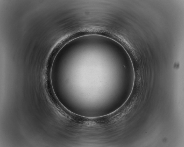X0000098090392200804041224