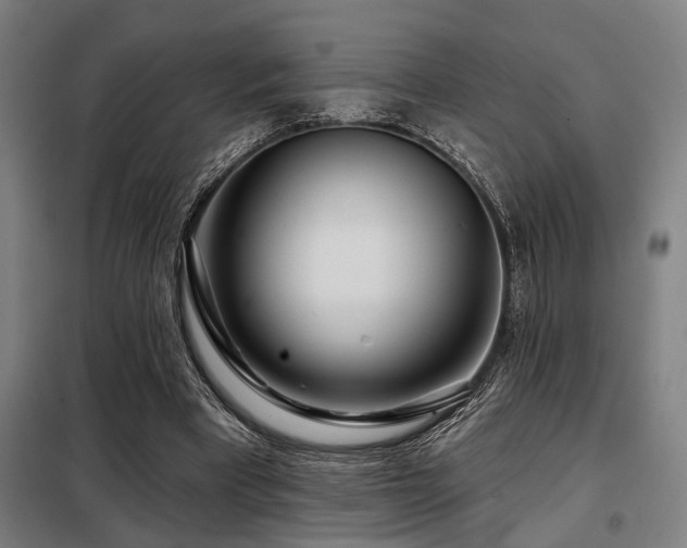 X0000098090393200804041224