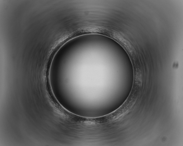 X0000098090394200804041224