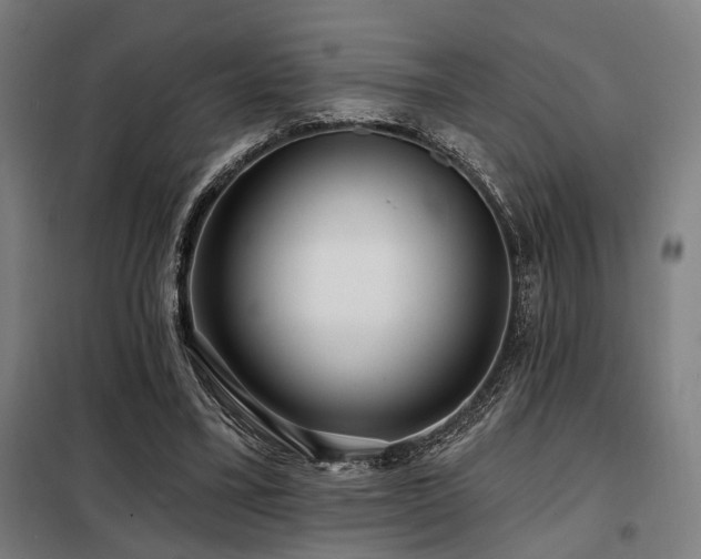 X0000098090395200804041224