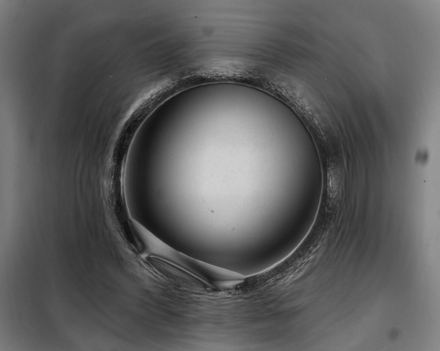 X0000098090396200804041224