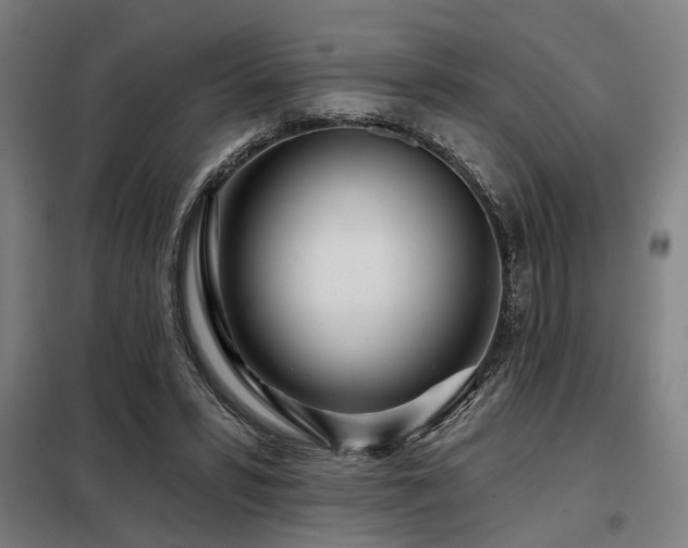 X0000098090399200804041224