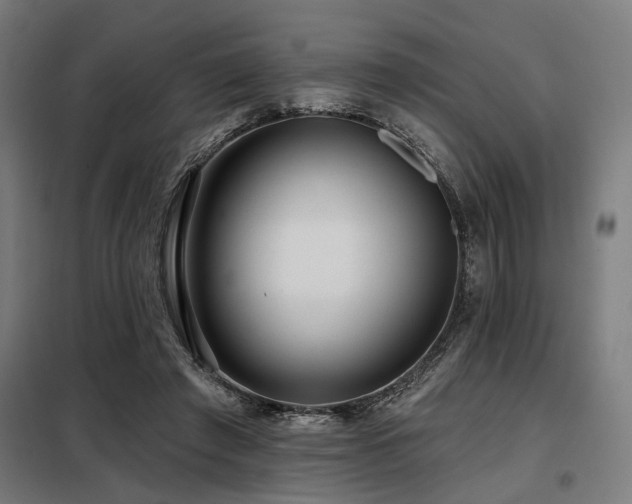 X0000098090401200804041224