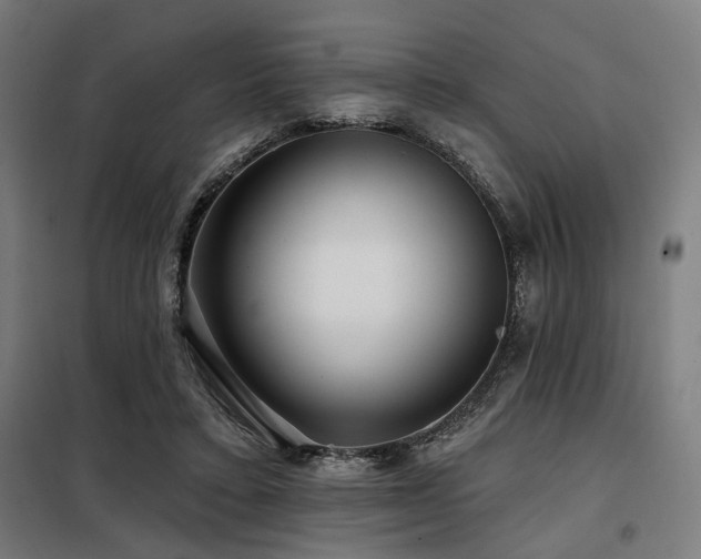 X0000098090403200804041224