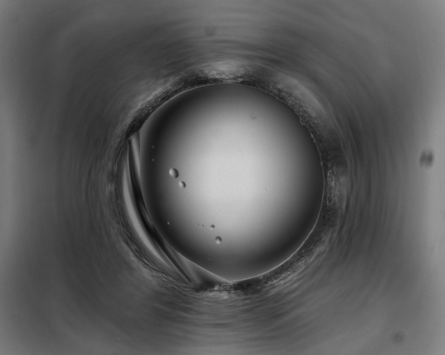 X0000098090404200804041224