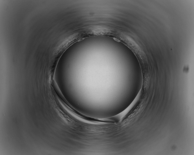 X0000098090405200804041224