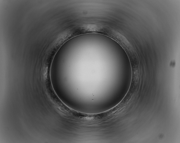 X0000098090406200804041224