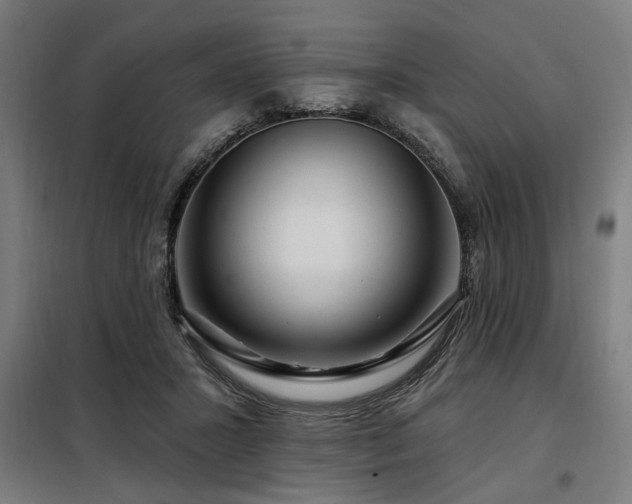 X0000098090407200804041224