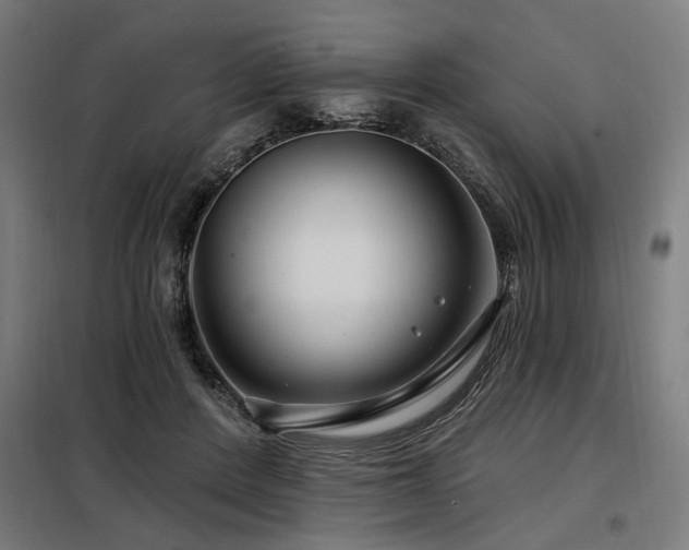 X0000098090408200804041224