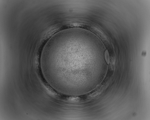X0000098090410200804041224