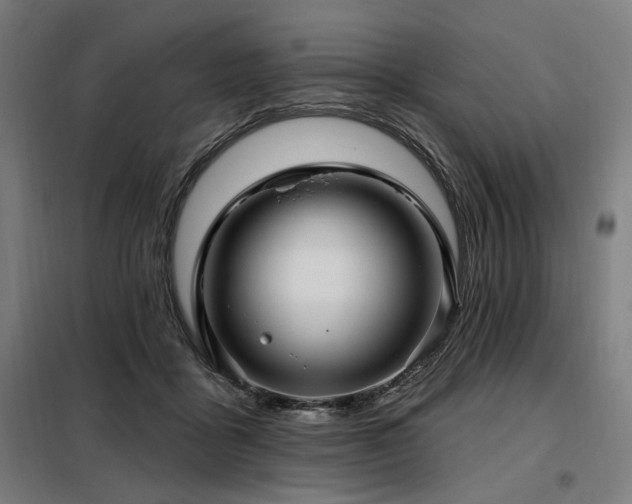 X0000098090411200804041224