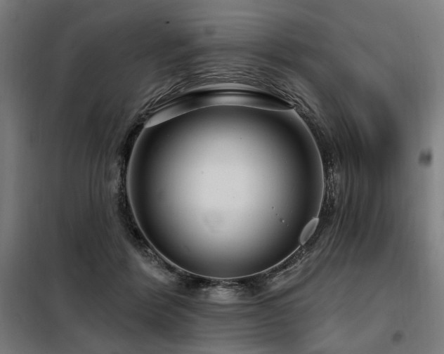 X0000098090412200804041224