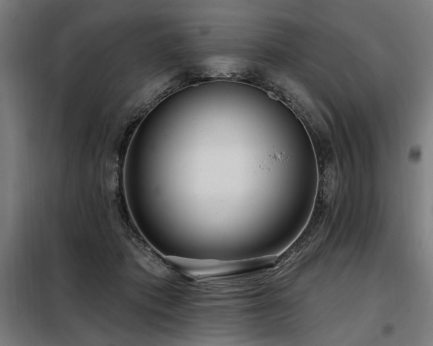 X0000098090413200804041224