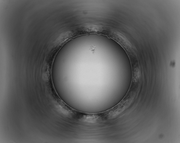 X0000098090414200804041224