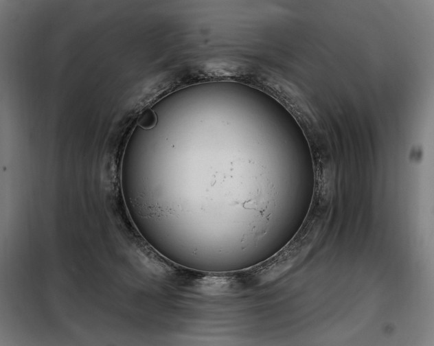 X0000098090418200804041224