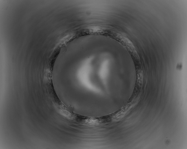 X0000098090419200804041224