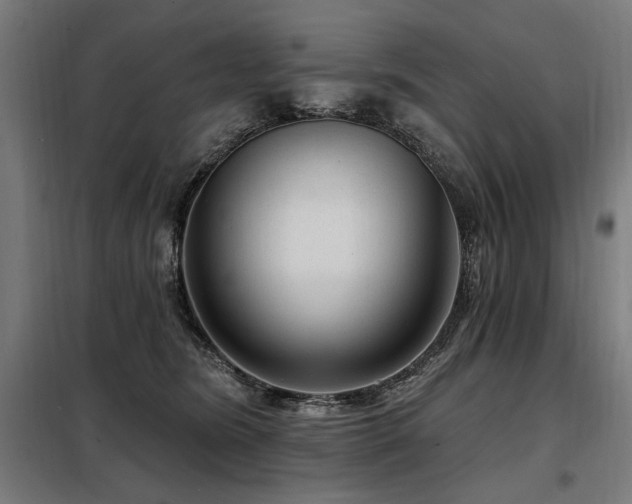X0000098090420200804041224