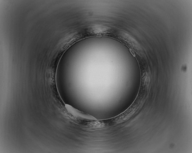 X0000098090421200804041224