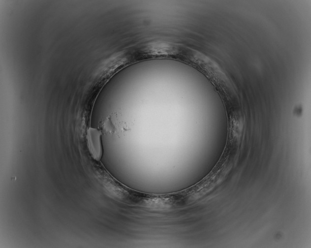 X0000098090422200804041224