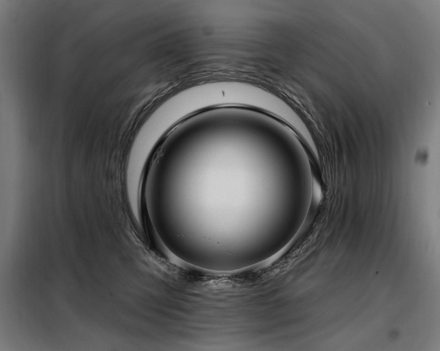 X0000098090423200804041224