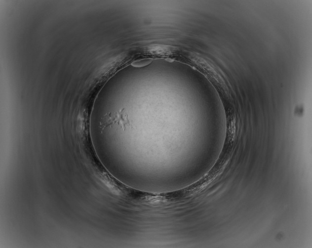 X0000098090424200804041224