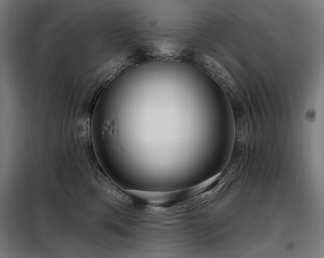 X0000098090425200804041224