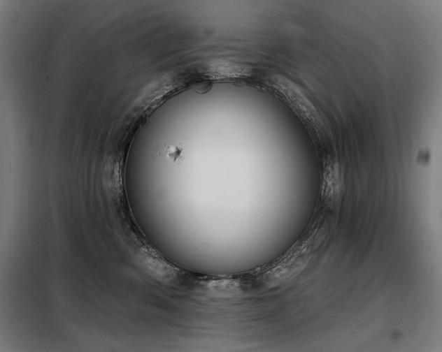 X0000098090426200804041224