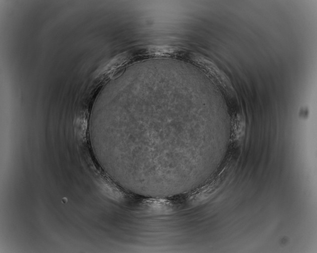 X0000098090427200804041224