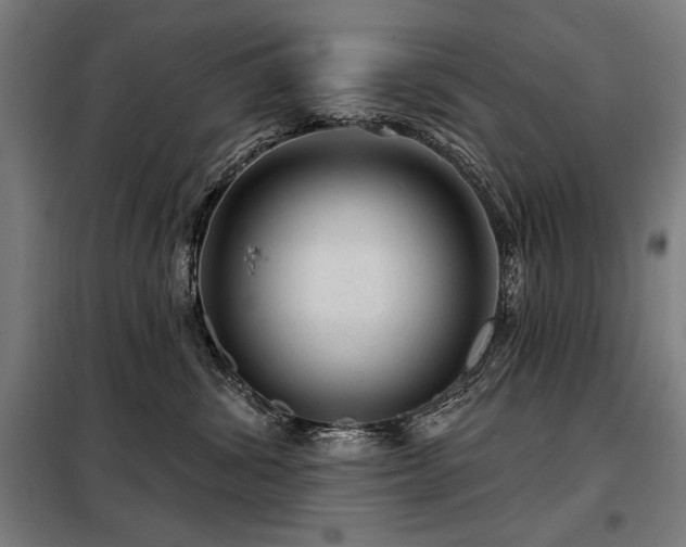 X0000098090428200804041224