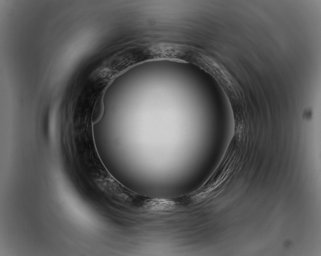 X0000098090429200804041224