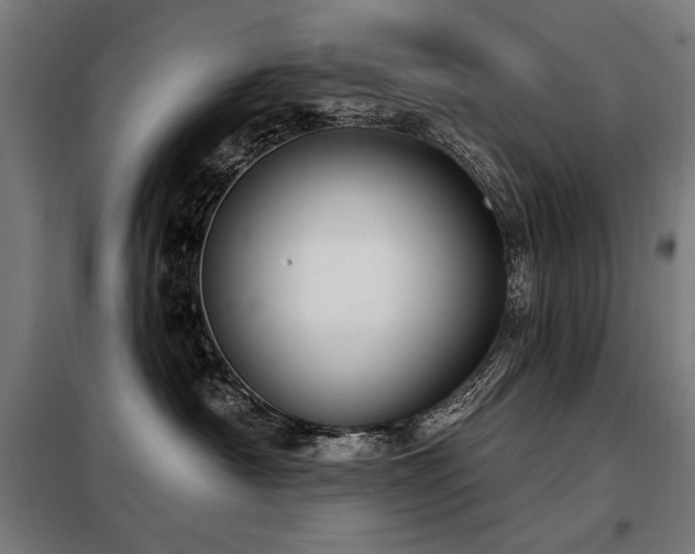 X0000098090430200804041224