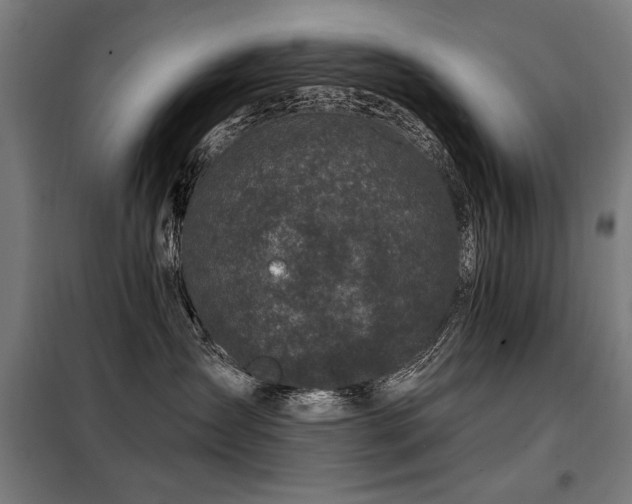 X0000098090431200804041224