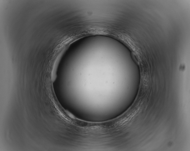 X0000098090433200804041223