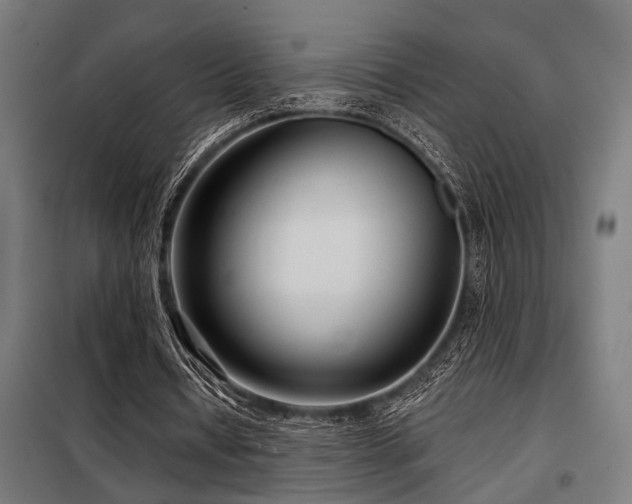 X0000098090434200804041223