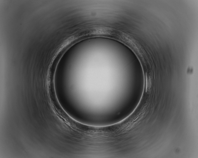 X0000098090435200804041223