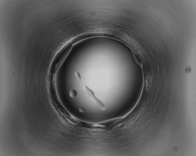 X0000098090436200804041223