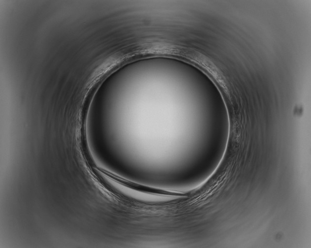 X0000098090437200804041223